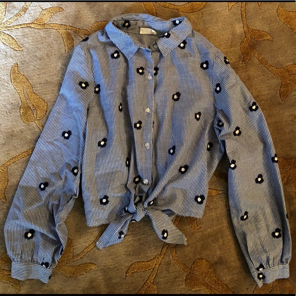 Striped Sienna Sky Cropped Button-Down